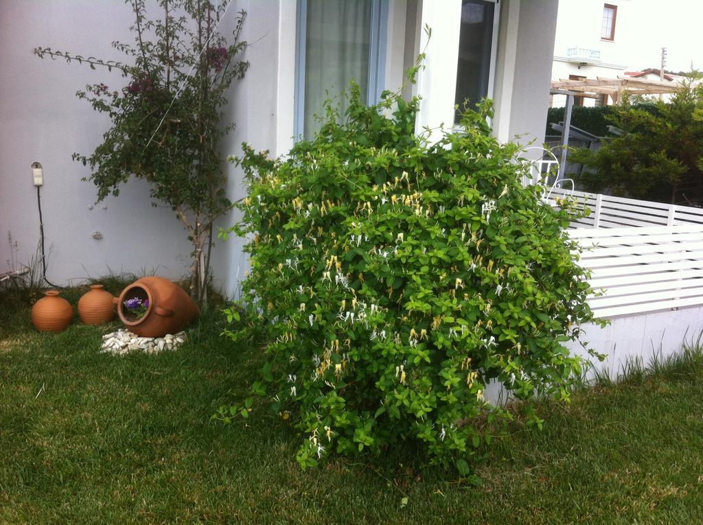Aspasia House Bozcaada Dış mekan fotoğraf